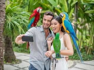 Bali Bird Park: Entry Ticket