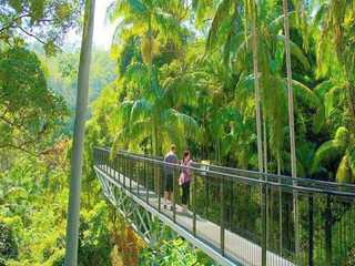 Tamborine Rainforest Skywalk: Entry Ticket