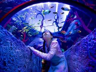 SEA LIFE Malaysia: Entry Ticket