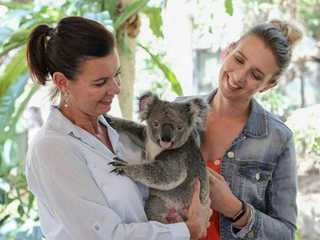 Lone Pine Koala Sanctuary: Entry Ticket
