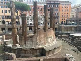 Rome: Archeological Area Largo Argentina Entry Ticket