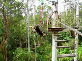 Currumbin Wildlife Sanctuary and TreeTop Challenge: Combo Ticket