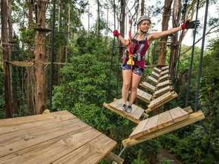 TreeTop Challenge Sunshine Coast: Admission Ticket