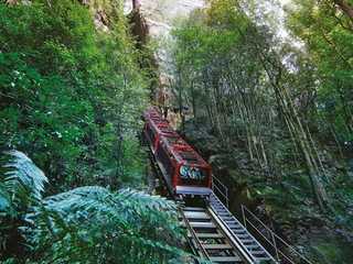 Blue Mountains: Scenic World Entry Ticket + Harbour Cruise from Sydney