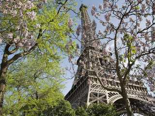 Paris AI-Generated Audio Tour: Journey Through Time and Taste