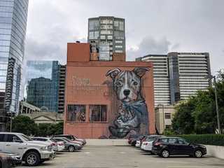 Nashville: Self-Guided Audio Walk Through Music and Memory