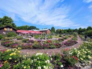 Gothenburg: Self-Guided Audio Walk Through the Historic Center