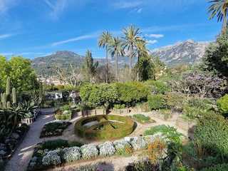 Sóller: Self-Guided Audio Walk Through Mallorca’s Native Flora