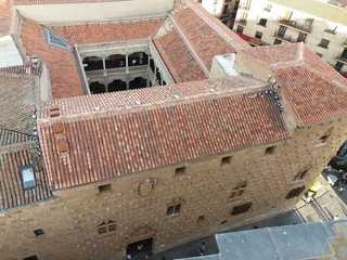 Salamanca: Self-Guided Audio Walk Through Golden Stone Splendor