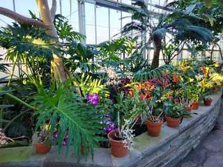 Richmond: Self-Guided Audio Walk Through Garden Beauty