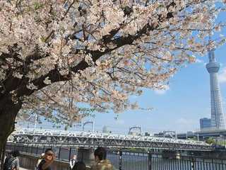 Tokyo: Self-Guided Audio Tour Through Tradition and Trend