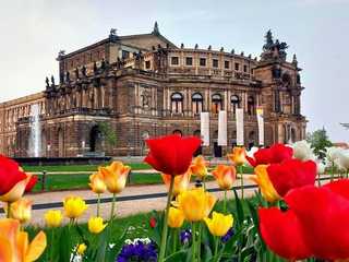 Dresden: Self-Guided Audio Tour durch das barocke Herz der Stadt