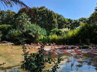 Barcelona: Zoo Skip The Line Ticket & Self-Guided City Walk