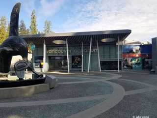 Vancouver Aquarium Ticket and an Audio Stroll Through Stanley Park
