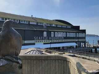 Seattle: Aquarium Entry Ticket & Downtown Landmarks Audio Tour