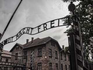 Oswiecim: Auschwitz Entry Reservation & Audio Tour