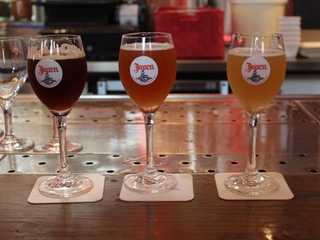 Haarlem: Self-Guided Audio Walk Through Local Flavor