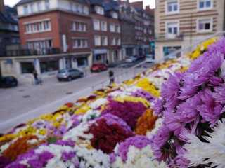 Lisieux: Self-Guided Audio Walk Through a Pilgrim City