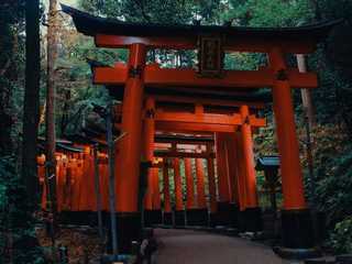 Kyoto: Secrets of Fushimi Inari Audio Tour