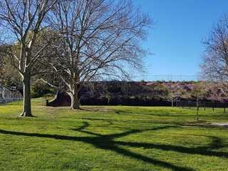 Sydney: Self-Guided Audio Walk through Centennial Park’s Oasis