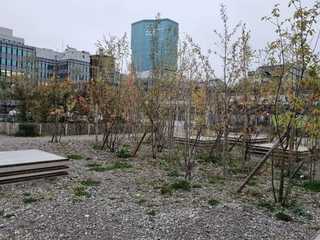 Zürich: Self-Guided Audio Walk Through the City’s Creative West