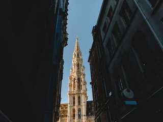 Brussels Highlights Tour with Banksy Museum Ticket