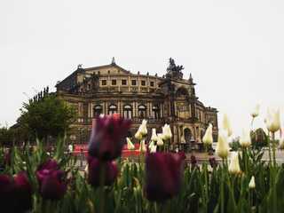 Dresden Walk: Semperoper, Frauenkirche, Zwinger, and many more