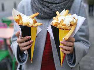 Fries Museum Bruges Ticket & In-App Audio Tour