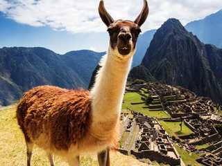 Cusco: Machu Picchu Audio Tour