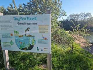 Ouddorp: Self-Guided Audio Tour durch Dünen, Damm und Delta