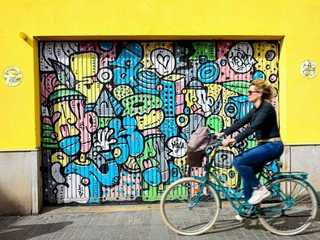 Cultural Bike Tour in Valencia: Turia Park and City Center, from Ancient Gates to Modern Wonders