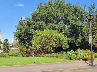 Sydney: Self-Guided Audio Walk Through Hyde Park Memorials