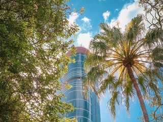 Brisbane: Botanic Gardens Audio Tour