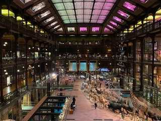 Paris: A Stroll Through Time with the Grande Galerie Ticket