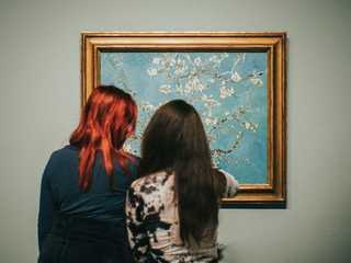 Amsterdam: Van Gogh Museum Ticket & Audio Tour