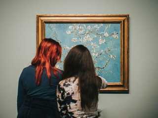 Ingresso al Museo Van Gogh e audioguida sull'app: Scopri i colori della vita