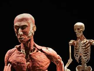 Berlin: BODY WORLDS Ticket and a Self-Guided Audio Walk Through the City