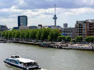 Waterbus Ticket Between Rotterdam and Kinderdijk with Audio City Walks