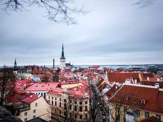 Tallinn's Timeless Tales: A Medieval Walking Tour
