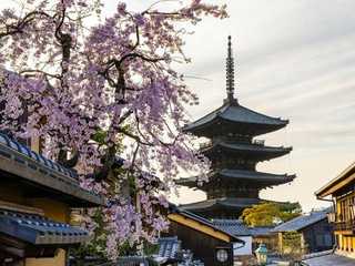 Kyoto: Historic Cherry Blossom Audio Tour