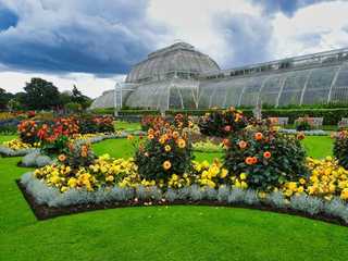 Kew Gardens: Entry Ticket and a Self-Guided Audio Tour