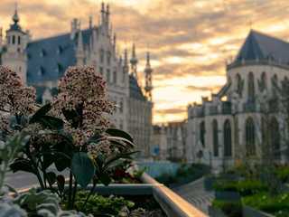Leuven: Self-Guided Audio Walk Through a City of Scholars