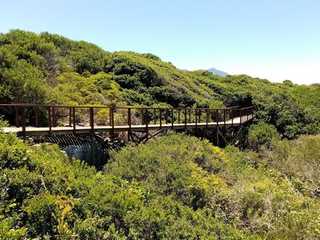 Hermanus: Coastal Wonders Audio Tour