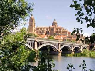 Salamanca Walking Tour: From Ancient Schools to Royal Palaces
