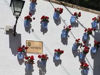 Marbella: Enchanting Paths Audio Tour