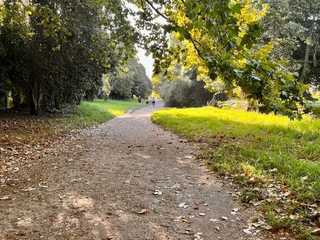 Cape Town: Enchanted Gardens Audio Tour