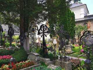 Salzburg's Historical Journey: Palaces to Fortress