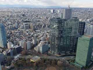 Tokyo: Shinjuku's Secret Paths Audio Tour