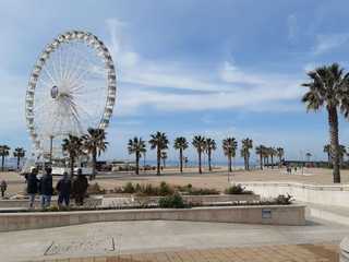 Civitavecchia: Hidden Gems Audio Exploration
