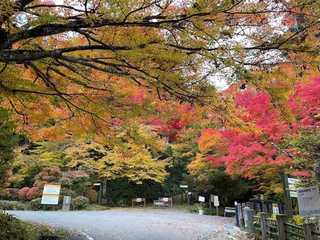 Takayama: Historic Time-Travel Audio Tour